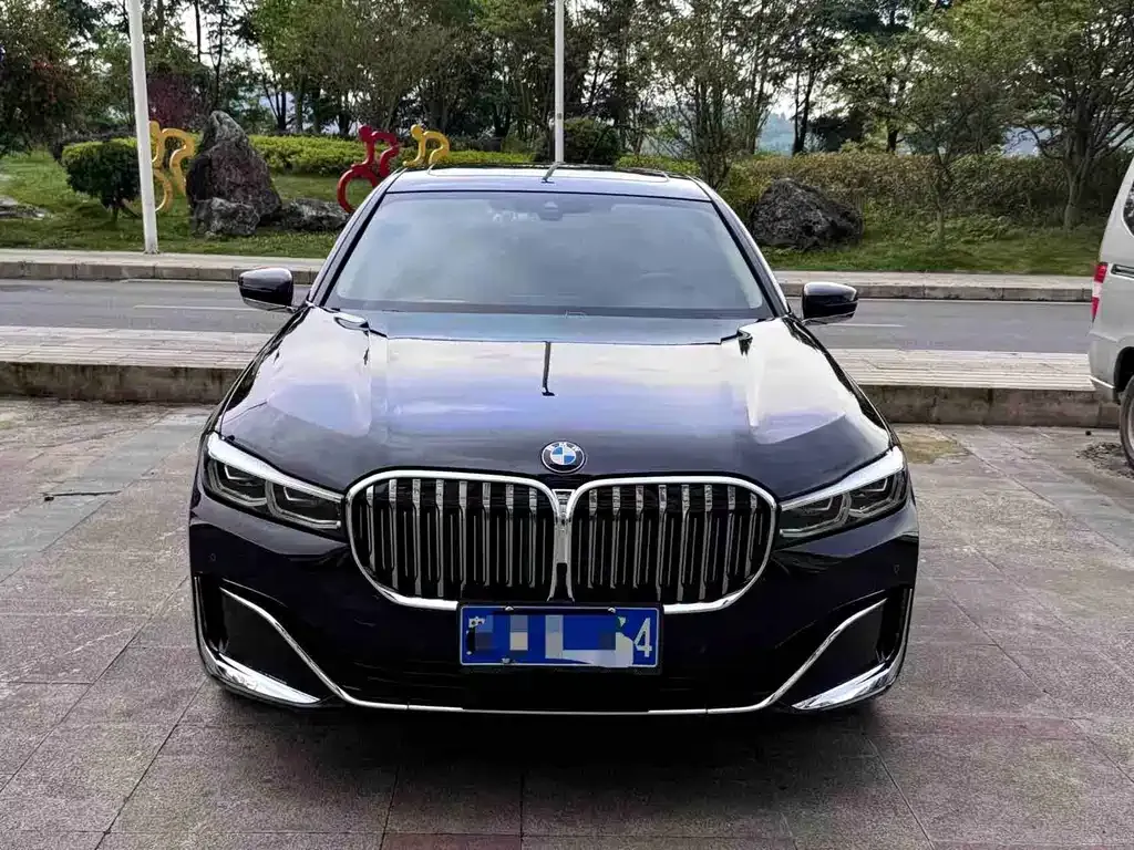 BMW 7 Series 2021 из CN, фото 10