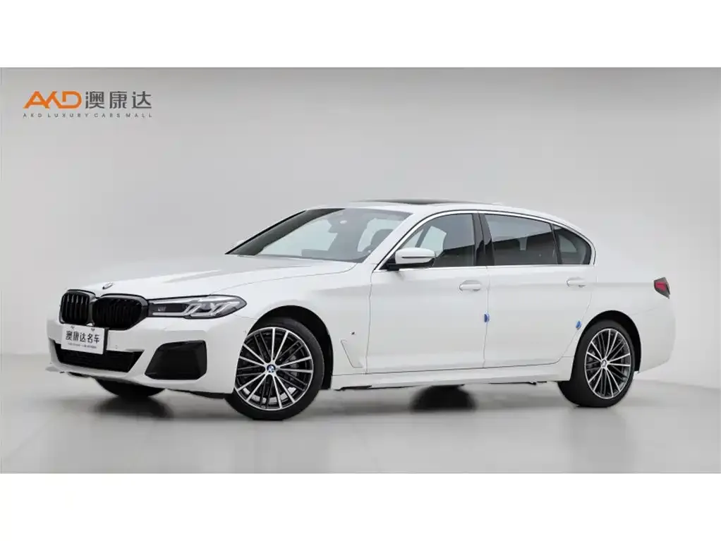 BMW 5 Series 2021 из CN, фото 1