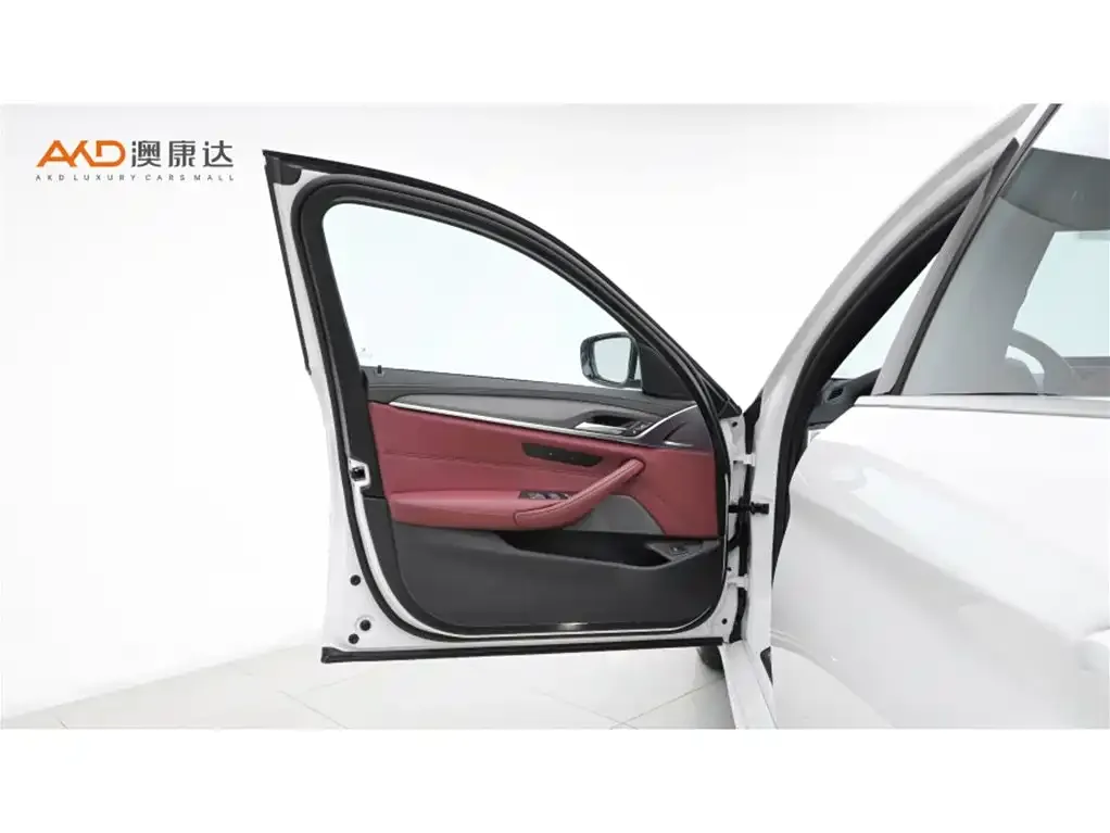 BMW 5 Series 2021 из CN, фото 10