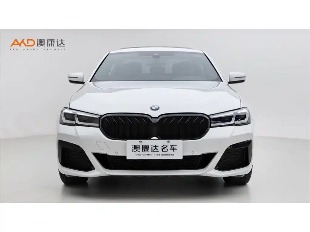 BMW 5 Series 2021 из CN, фото 5