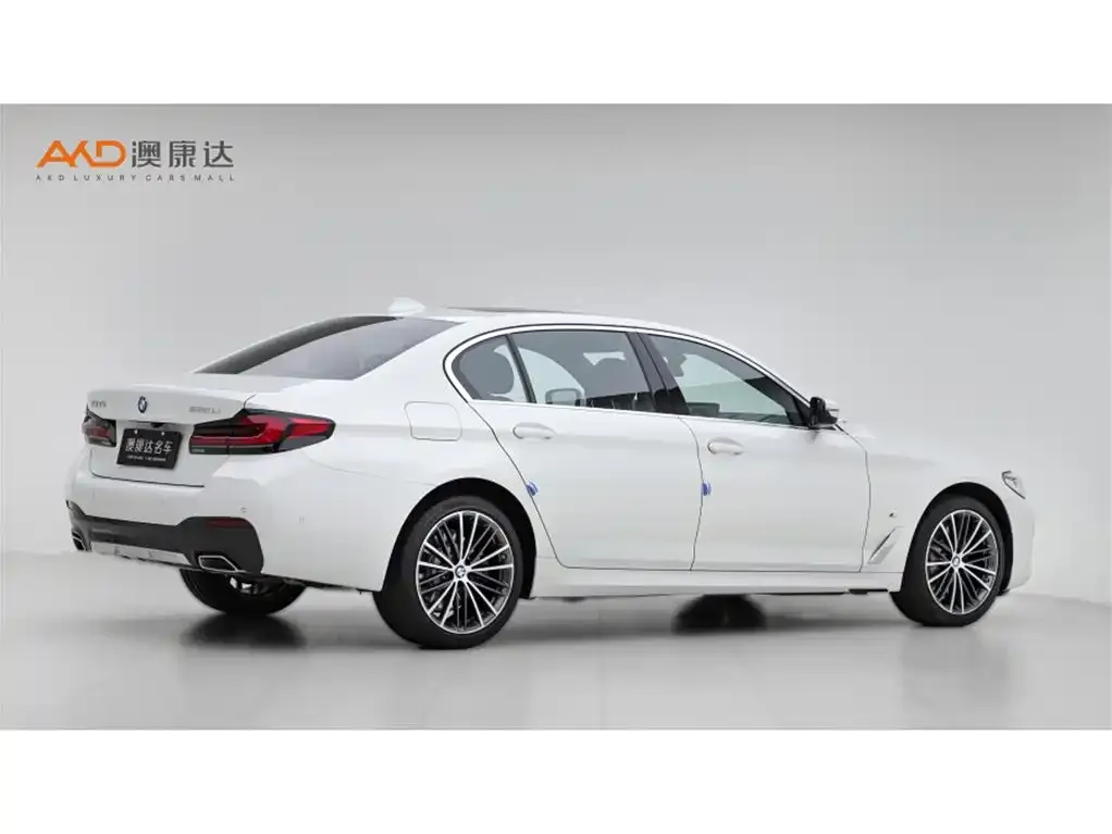 BMW 5 Series 2021 из CN, фото 9