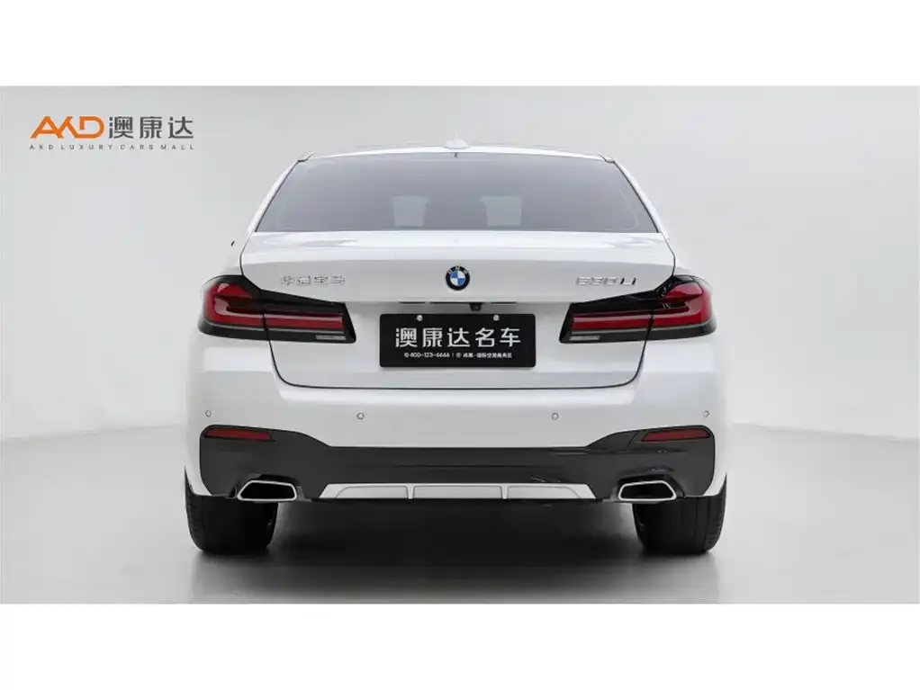 BMW 5 Series 2021 из CN, фото 4