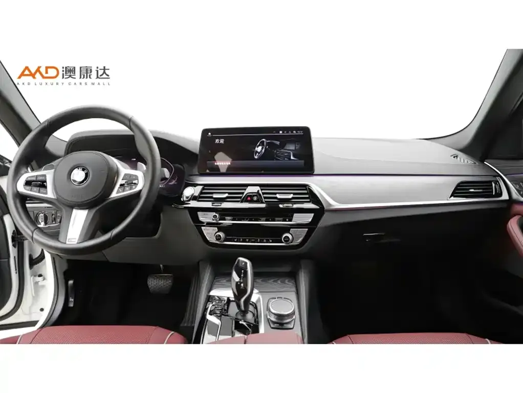 BMW 5 Series 2021 из CN, фото 8