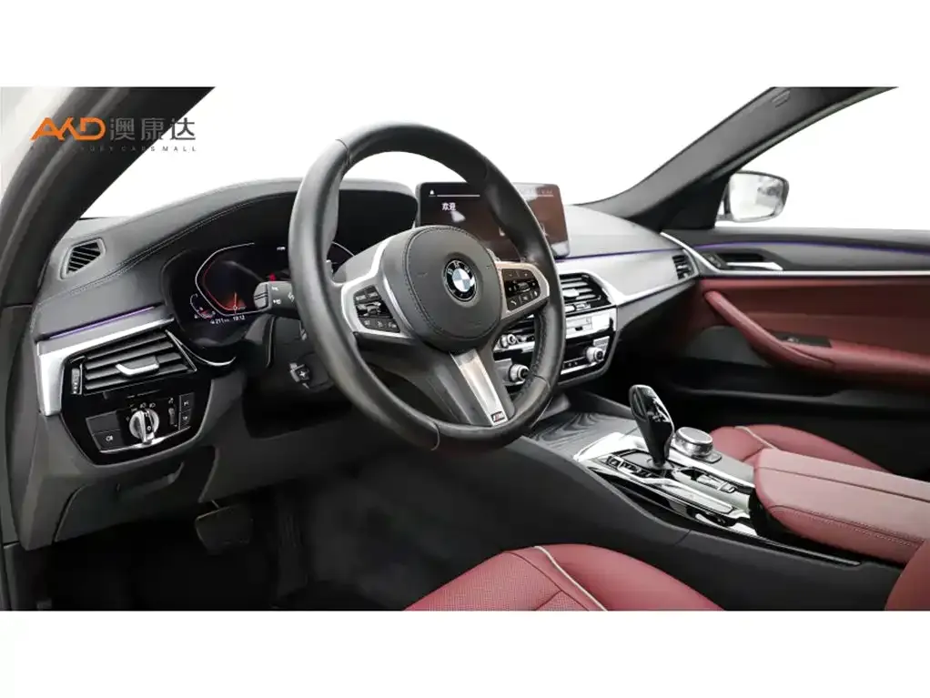 BMW 5 Series 2021 из CN, фото 6