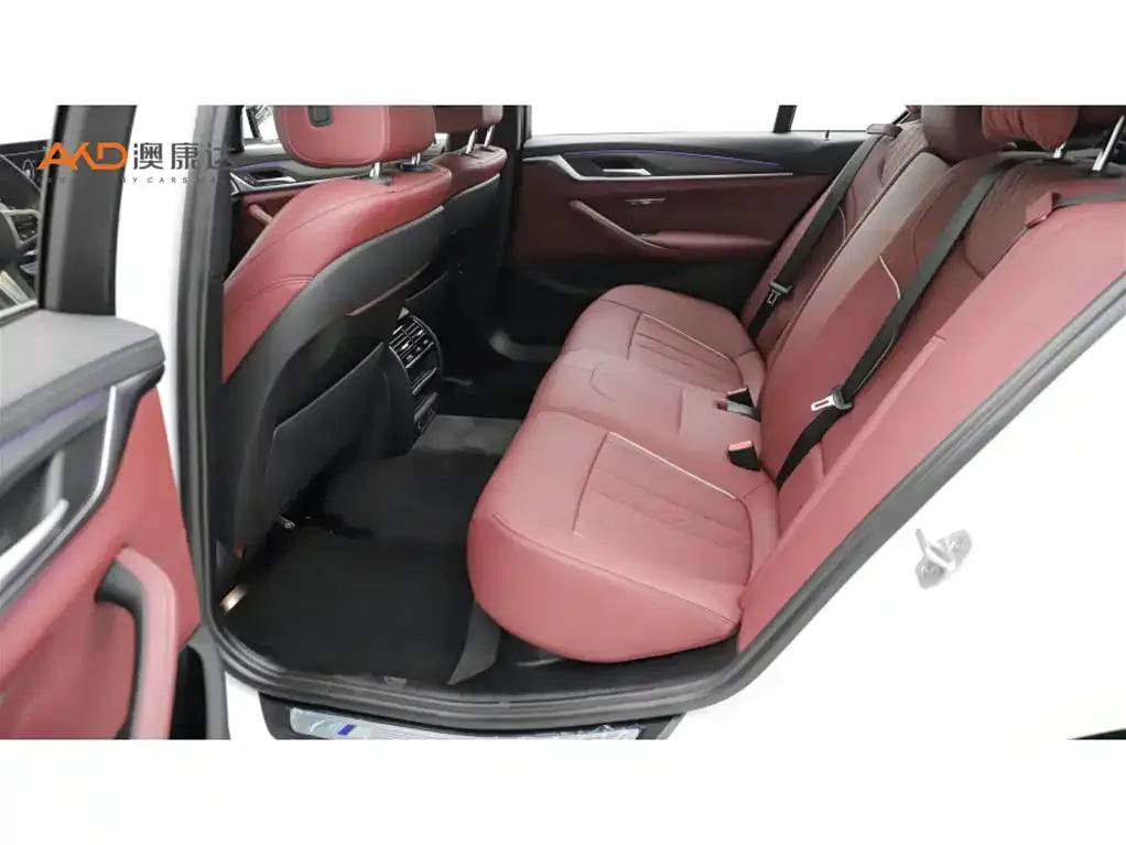 BMW 5 Series 2021 из CN, фото 7