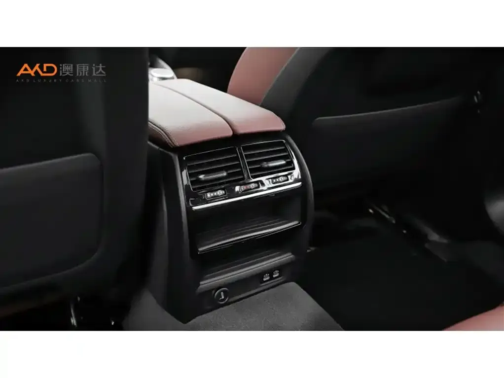 BMW 5 Series 2021 из CN, фото 3