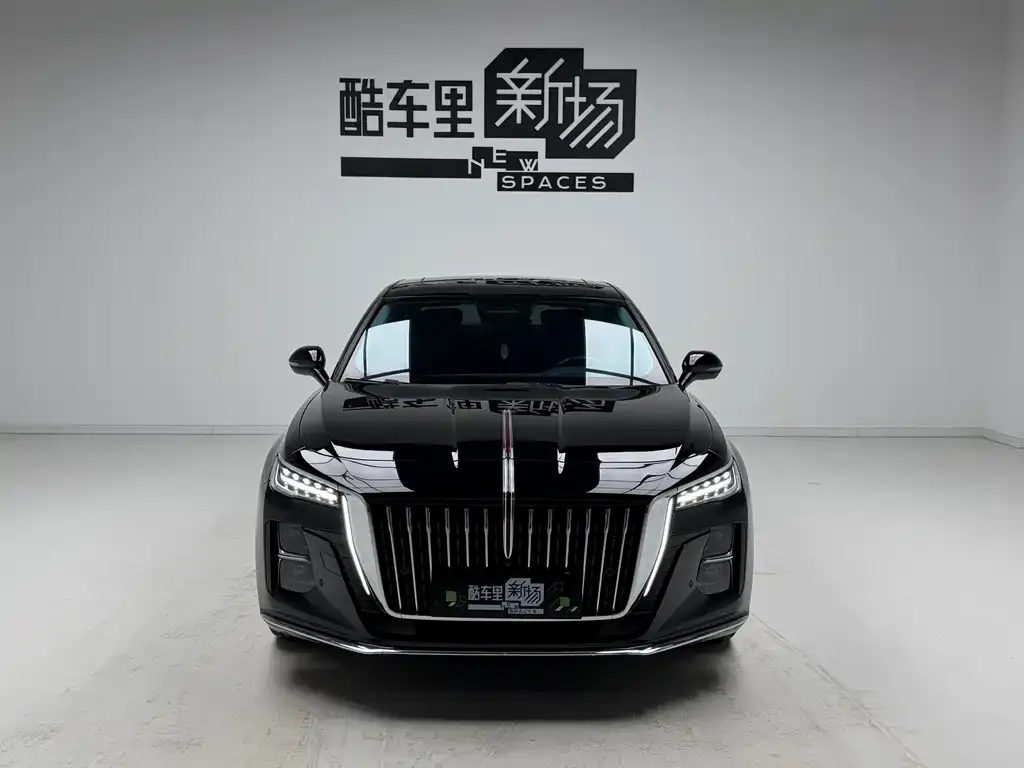 Hongqi H5 2023 из CN, фото 5
