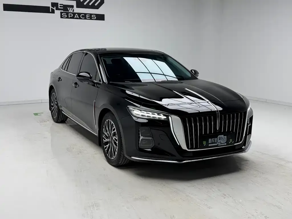 Hongqi H5 2023 из CN, фото 8