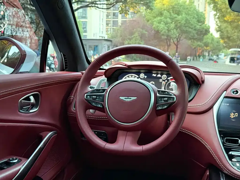 Aston Martin DBX 2022 из CN, фото 4