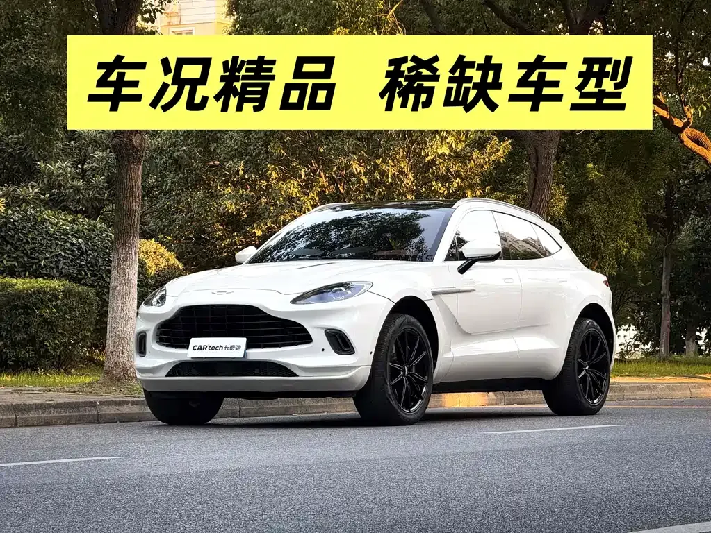 Aston Martin DBX 2022 из CN, фото 8
