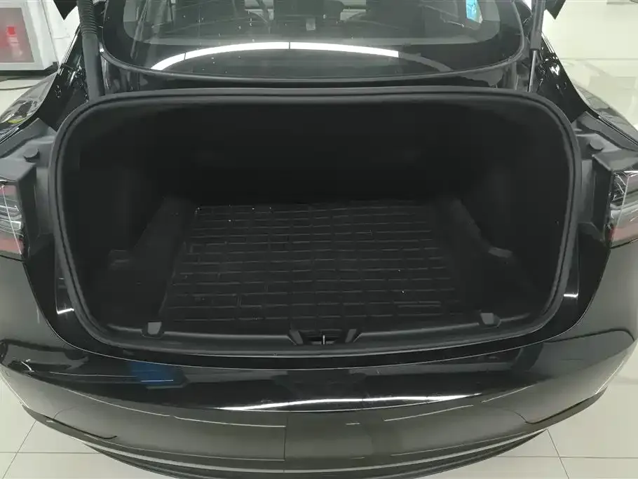 Tesla Model 3 2021 из CN, фото 6