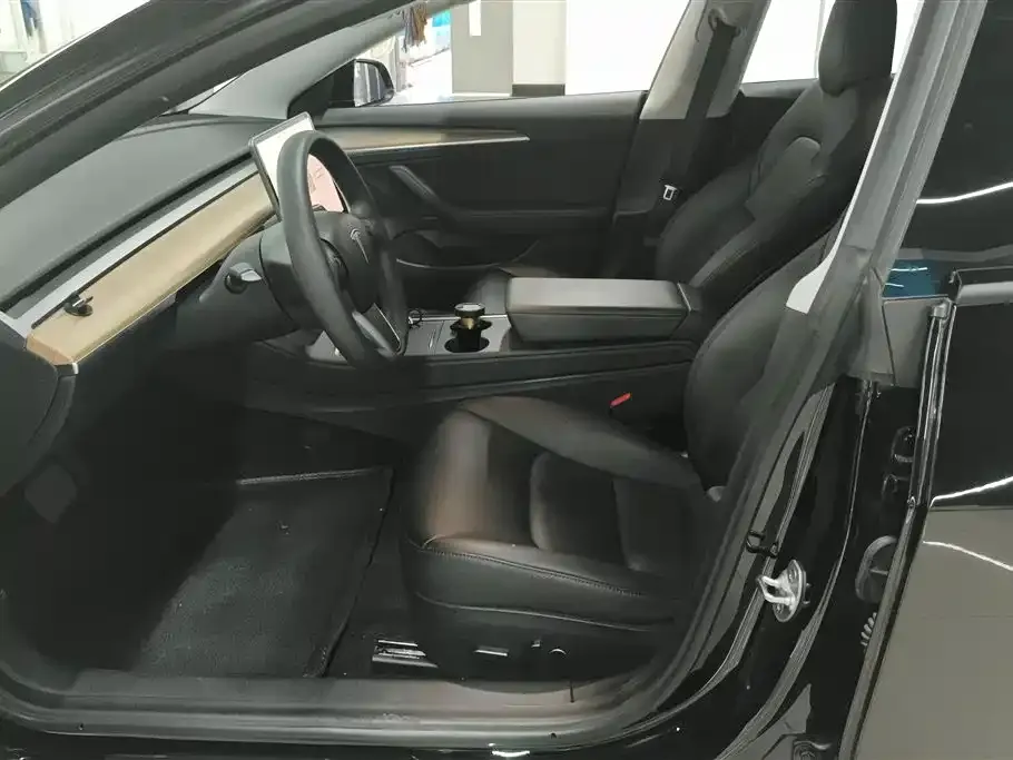Tesla Model 3 2021 из CN, фото 8