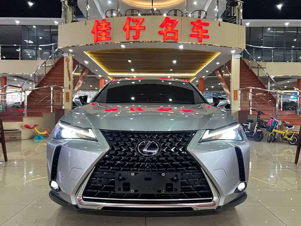 Lexus UX 2021 из CN, фото 10