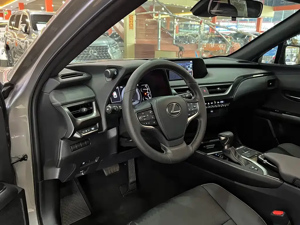 Lexus UX 2021 из CN, фото 8
