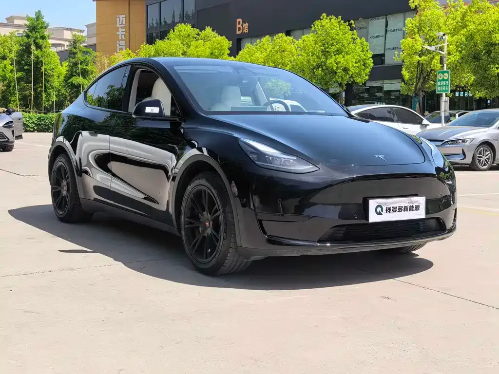 Tesla Model Y — фото 3