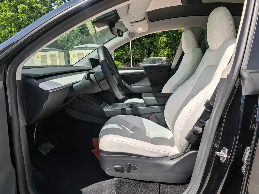 Tesla Model Y — фото 10