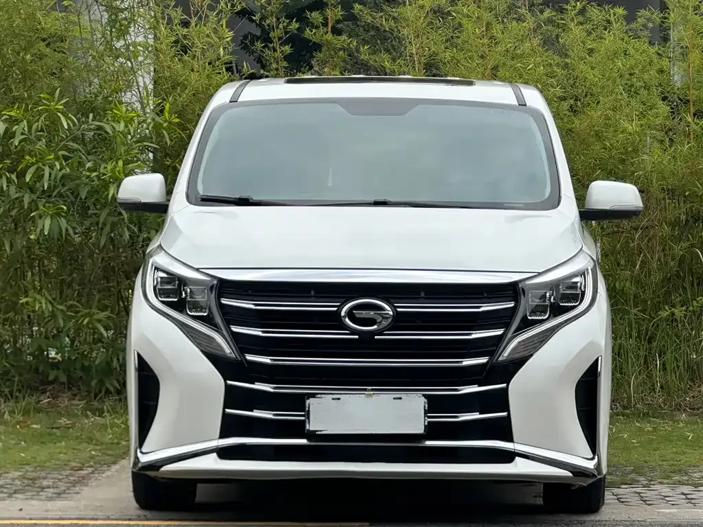 GAC Motor Trumpchi M8 2021 из CN, фото 5
