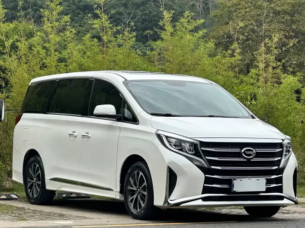 GAC Motor Trumpchi M8 2021 из CN, фото 8