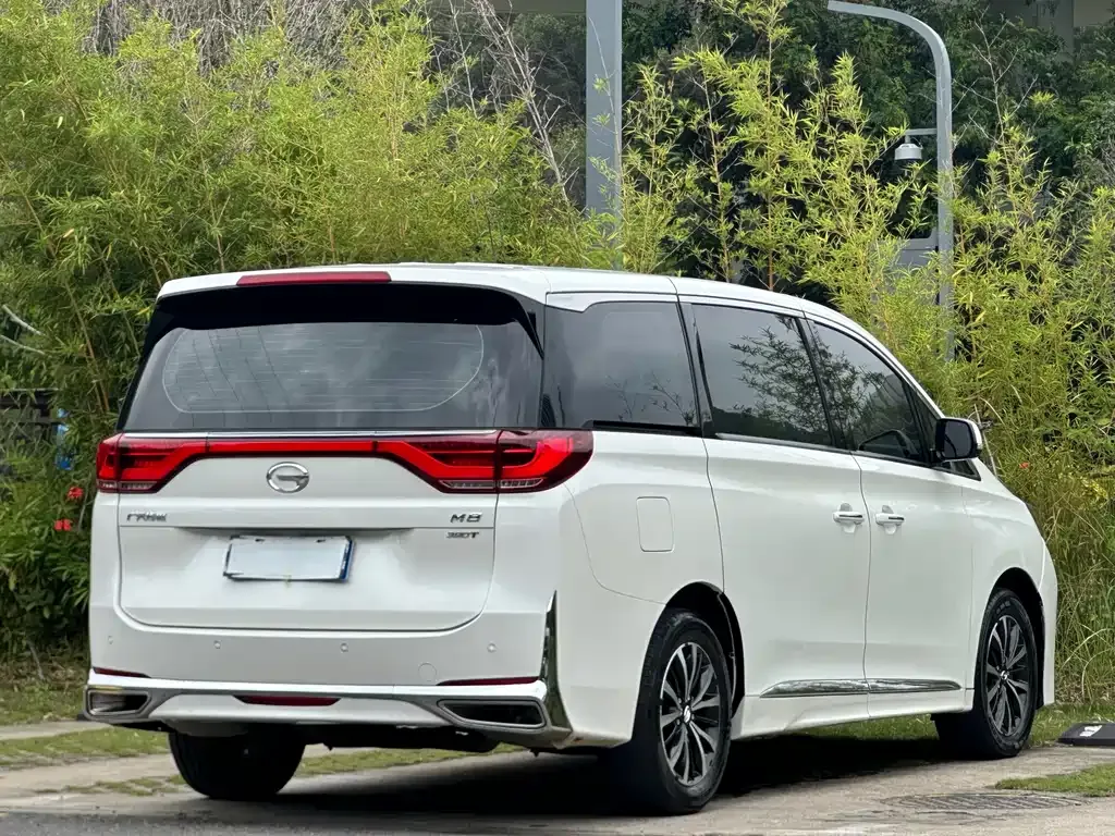 GAC Motor Trumpchi M8 2021 из CN, фото 9