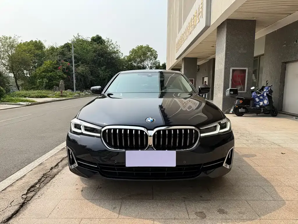BMW 5 Series 2022 из CN, фото 10