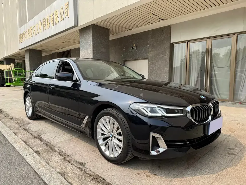 BMW 5 Series 2022 из CN, фото 5