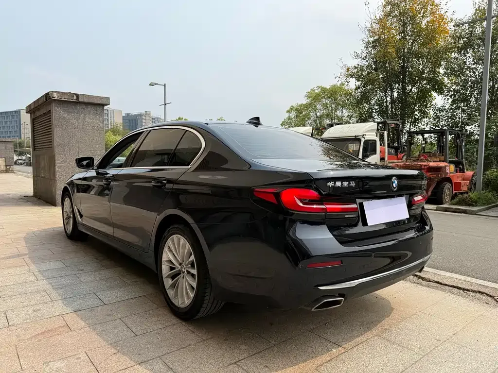 BMW 5 Series 2022 из CN, фото 7
