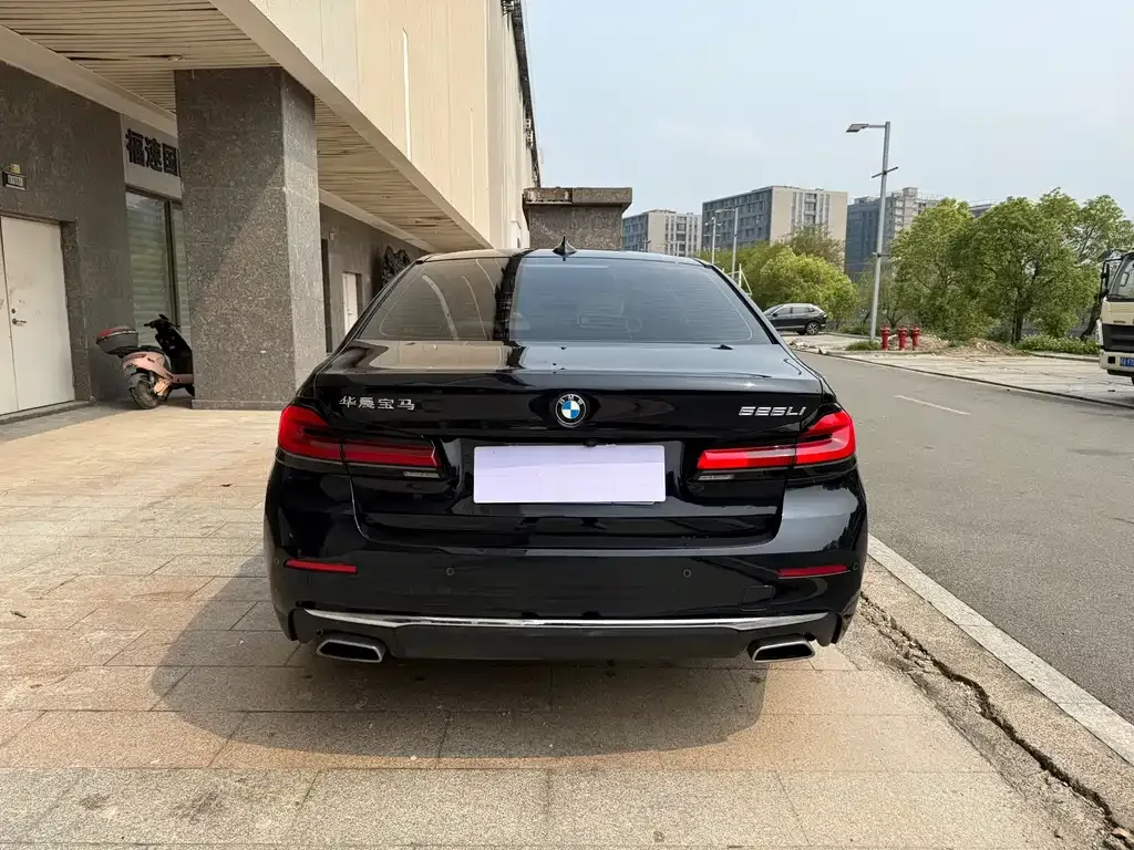 BMW 5 Series 2022 из CN, фото 6
