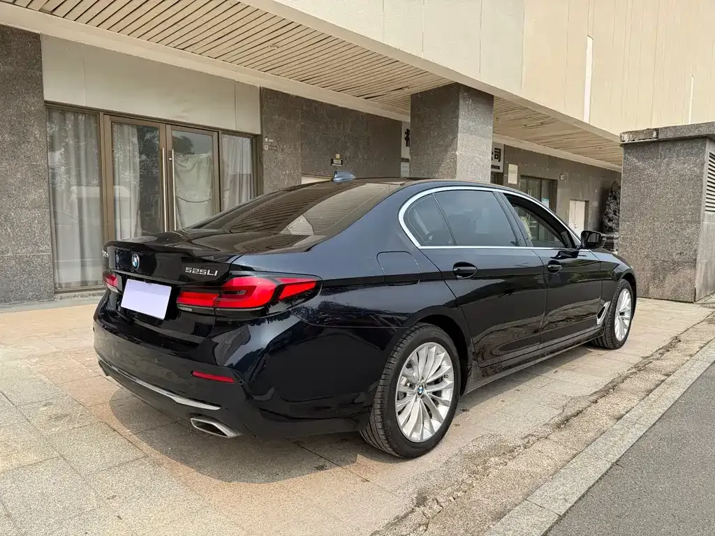 BMW 5 Series 2022 из CN, фото 3