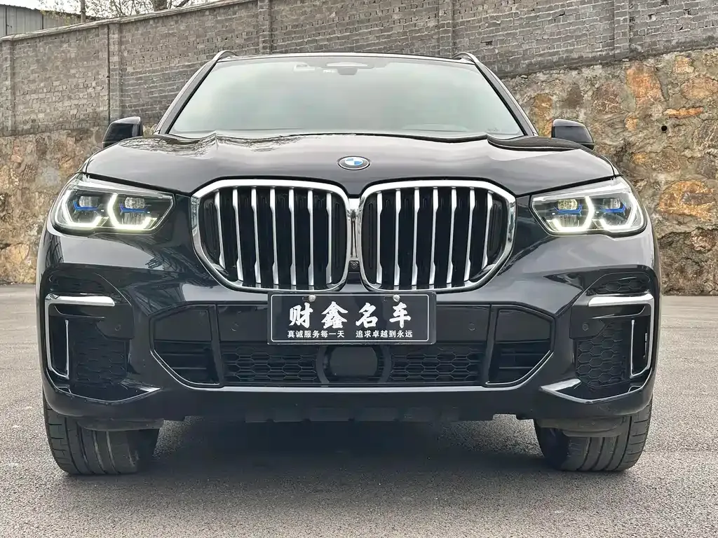 BMW X5 — фото 9