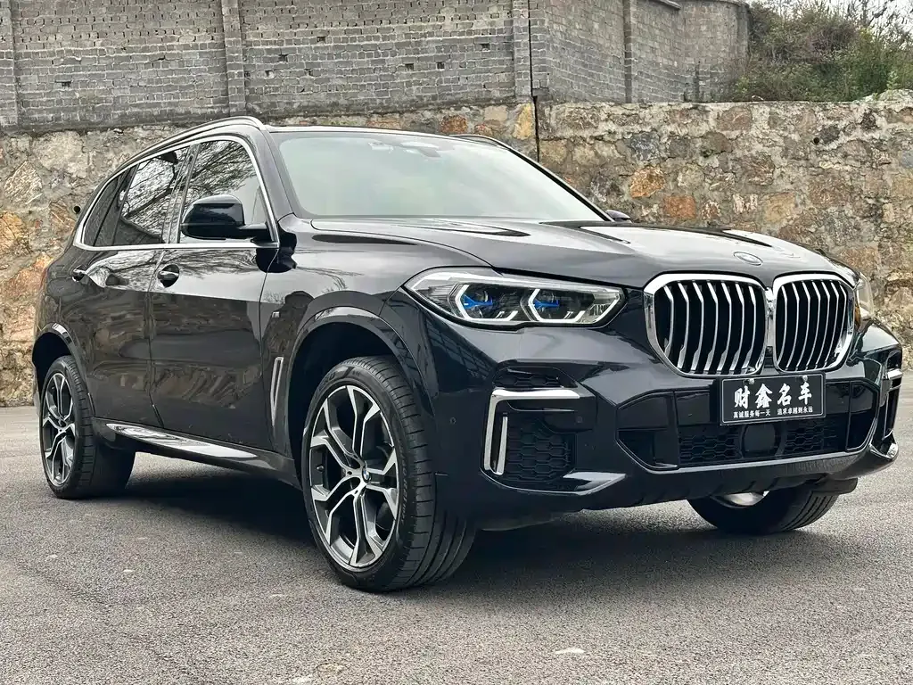 BMW X5 — фото 10