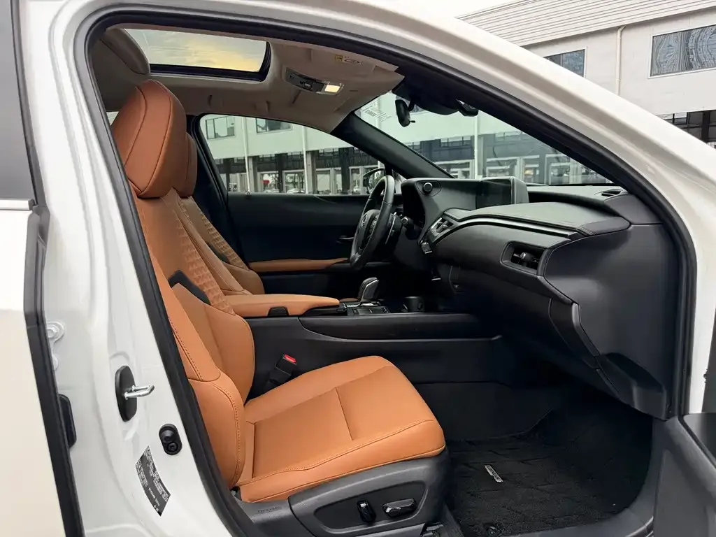 Lexus UX New Energy 2023 из CN, фото 6
