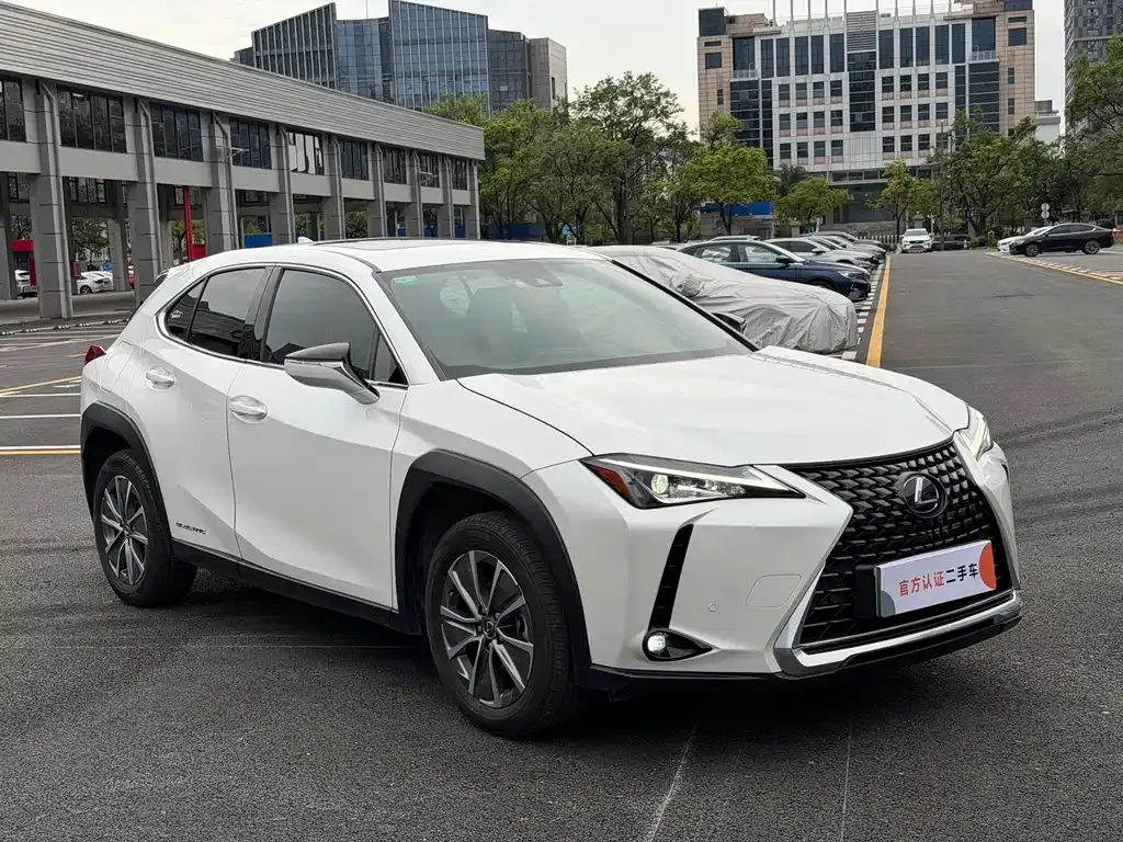 Lexus UX New Energy 2023 из CN, фото 10