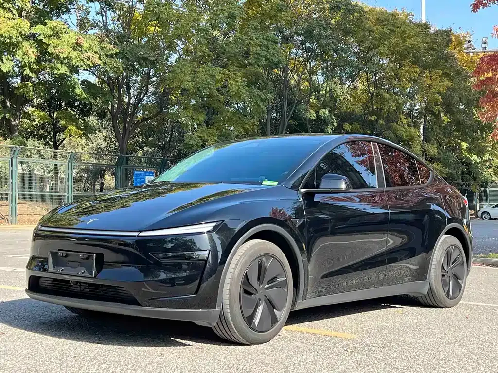 Tesla Model Y 2025 из CN, фото 1