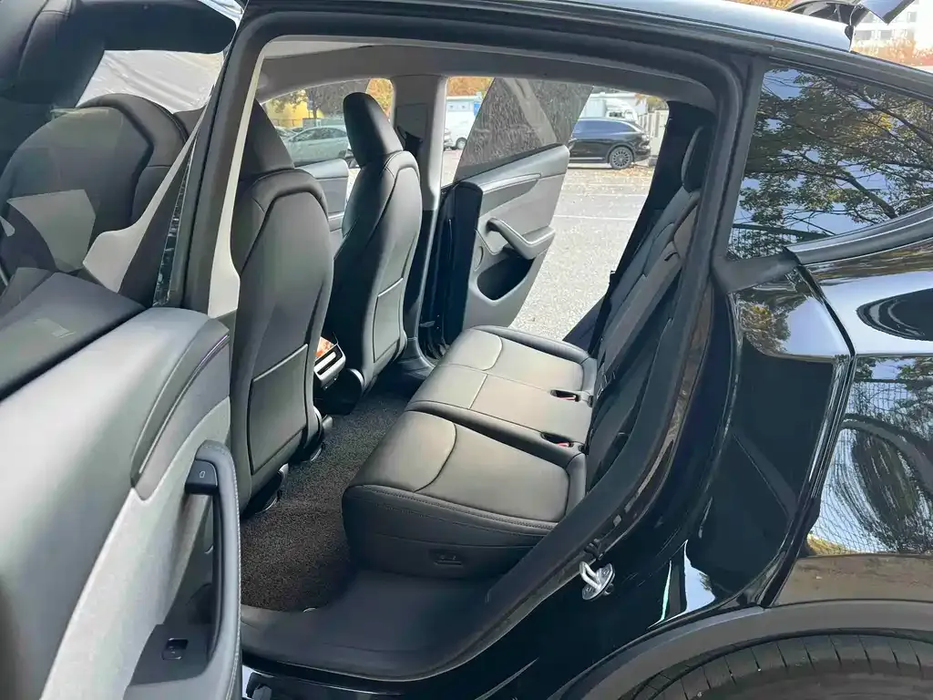 Tesla Model Y 2025 из CN, фото 2