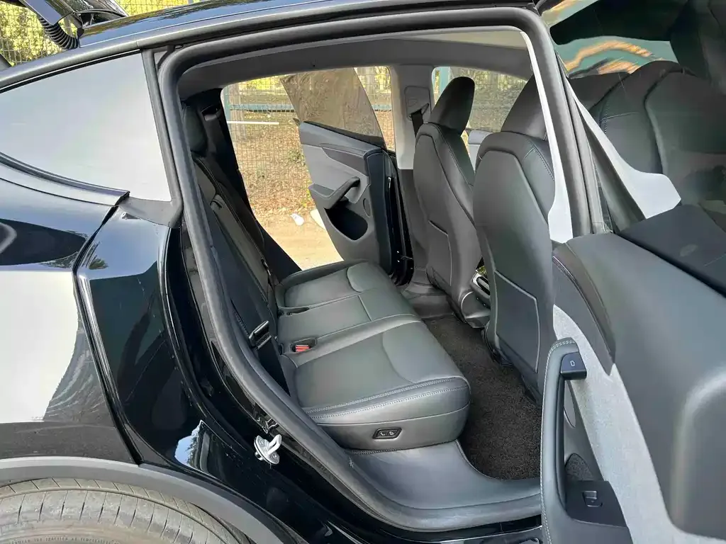 Tesla Model Y 2025 из CN, фото 6