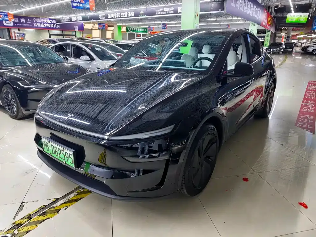 Tesla Model Y 2025 из CN, фото 1