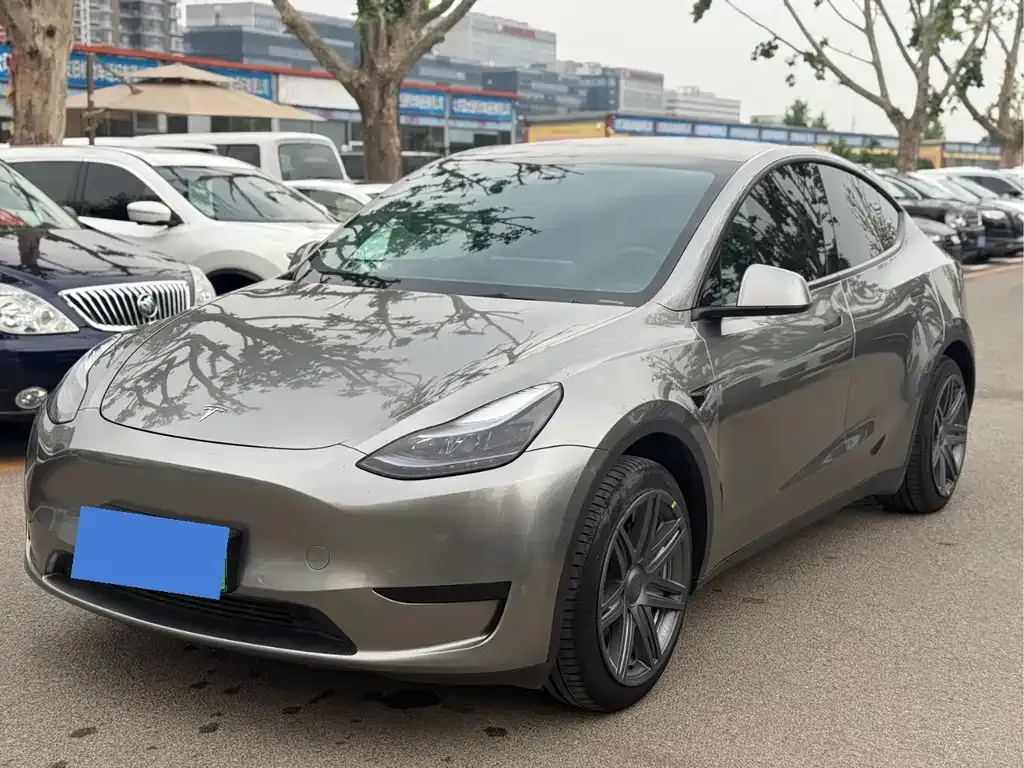 Tesla Model Y — фото 1