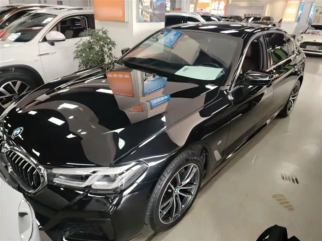 BMW 5 Series 2024 из CN, фото 6