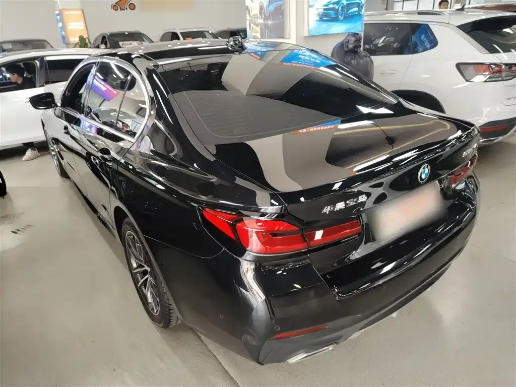 BMW 5 Series 2024 из CN, фото 9