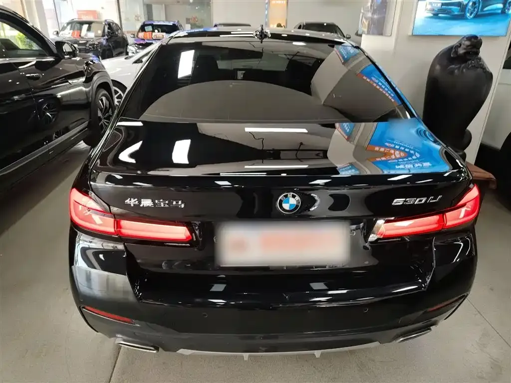BMW 5 Series 2024 из CN, фото 10