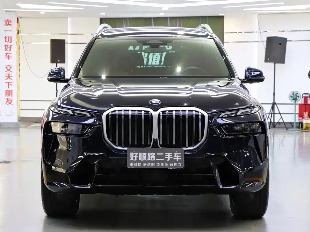BMW X7 — фото 6