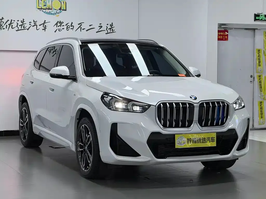 BMW X1 — фото 10