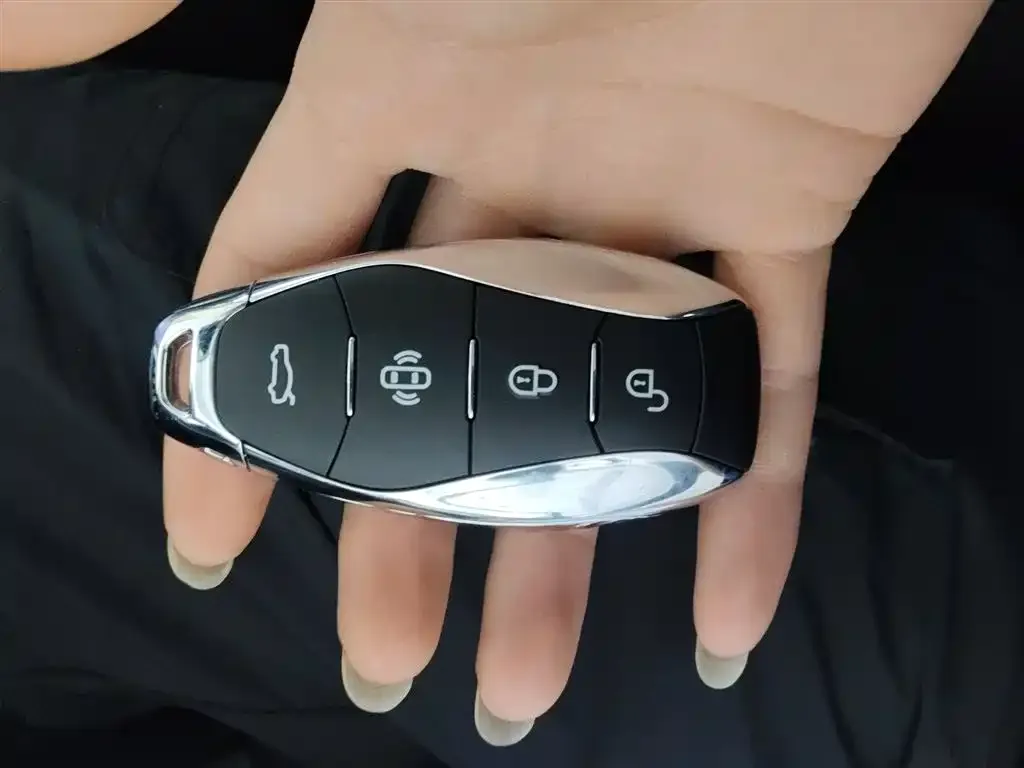 Hongqi HS7 PHEV 2024 из CN, фото 3