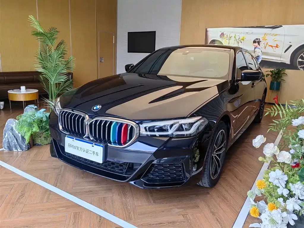 BMW 5 Series 2023 из CN, фото 1