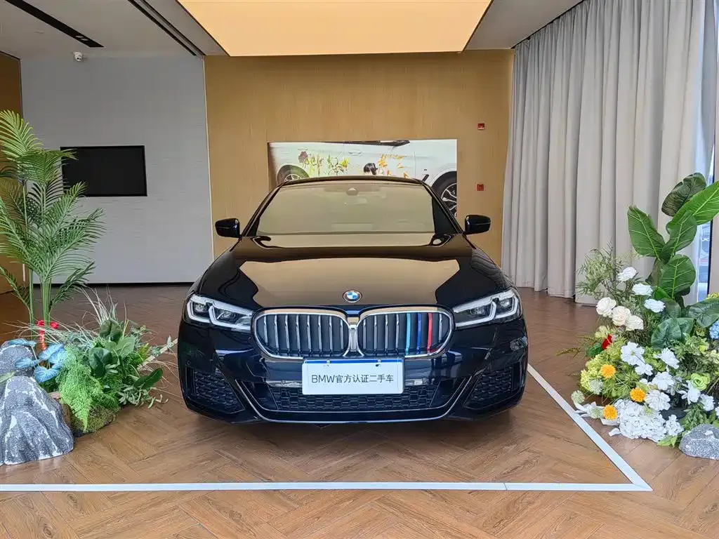 BMW 5 Series 2023 из CN, фото 5