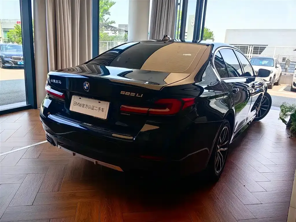 BMW 5 Series 2023 из CN, фото 7