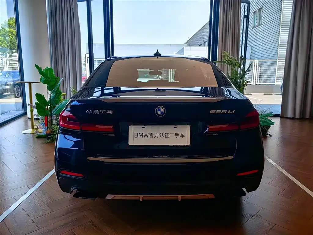 BMW 5 Series 2023 из CN, фото 8