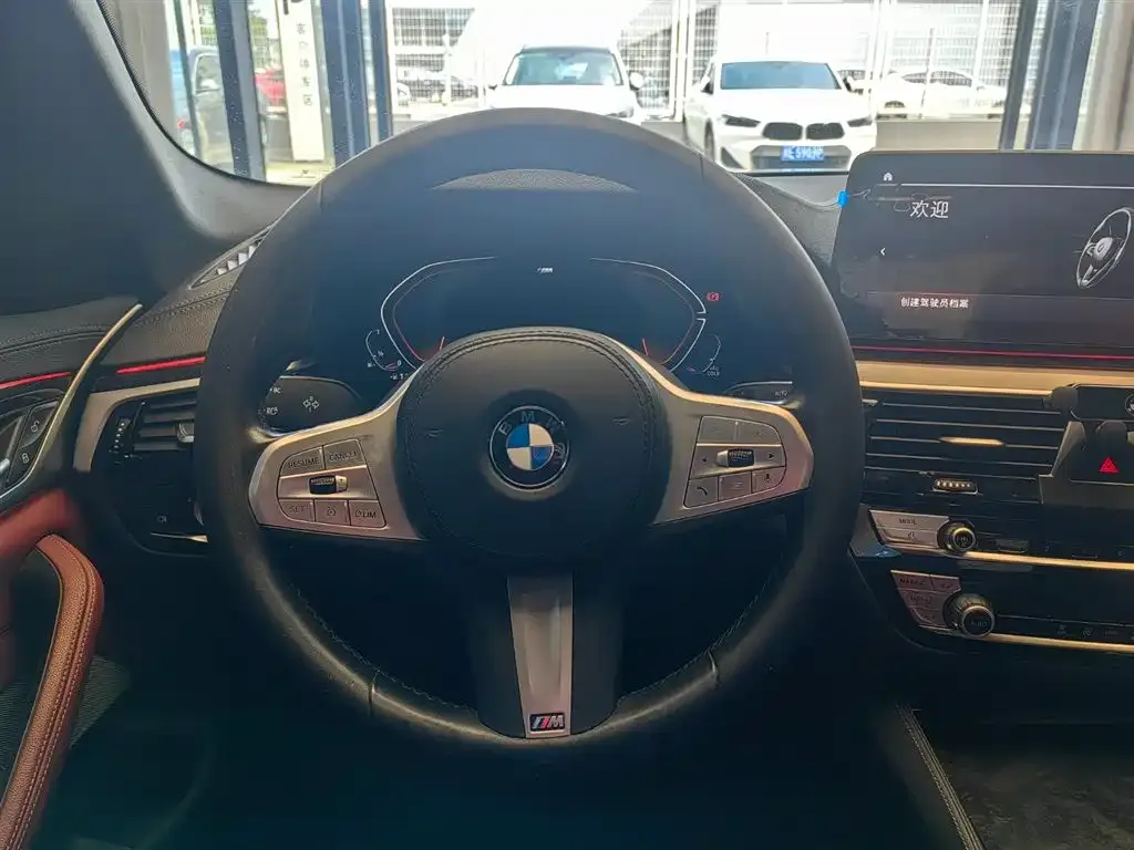 BMW 5 Series 2023 из CN, фото 3