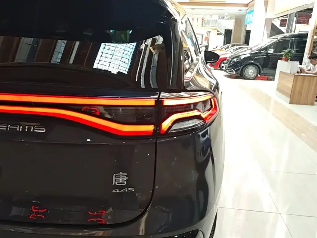 BYD Tang New Energy — фото 4