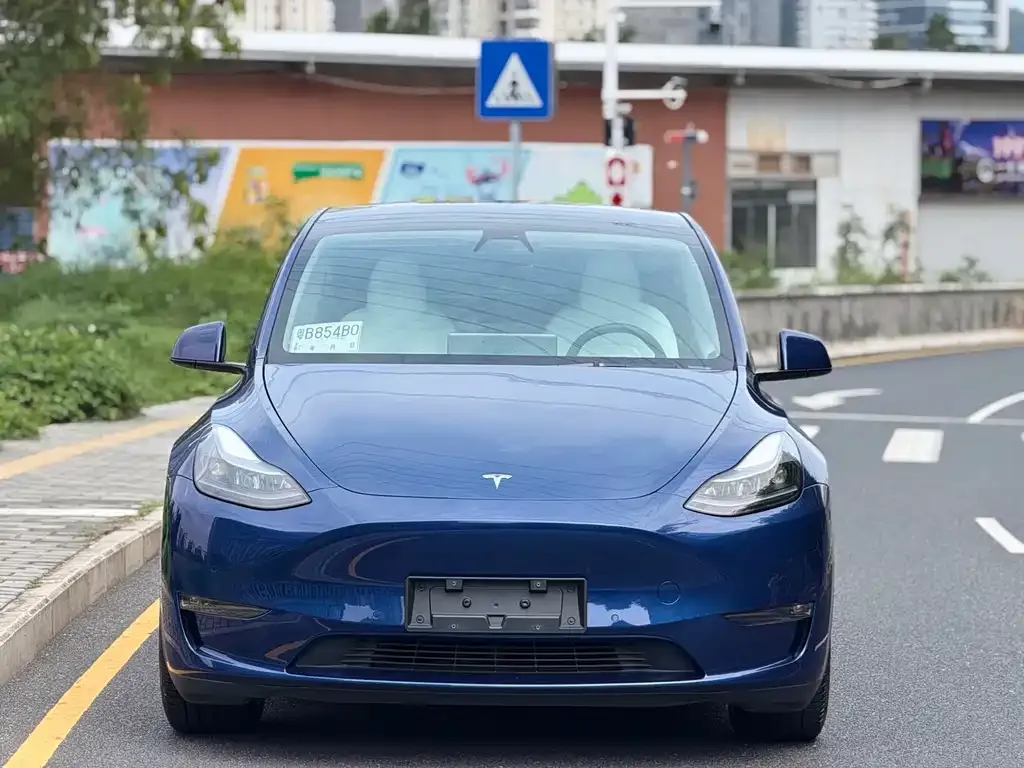 Tesla Model Y 2023 из CN, фото 8
